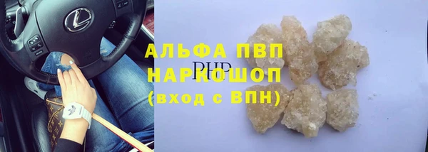 гидра Балахна
