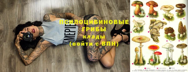гидра Балахна