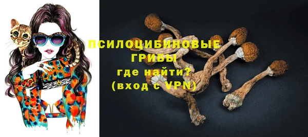spice Балабаново