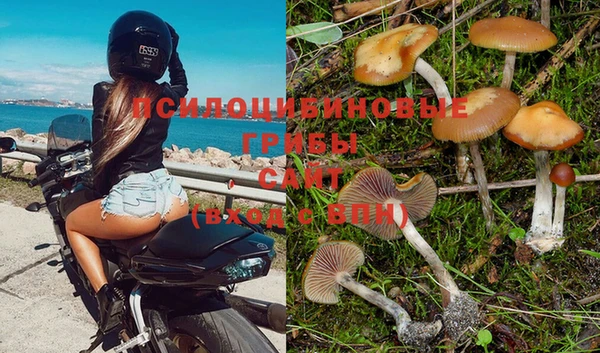 spice Балабаново