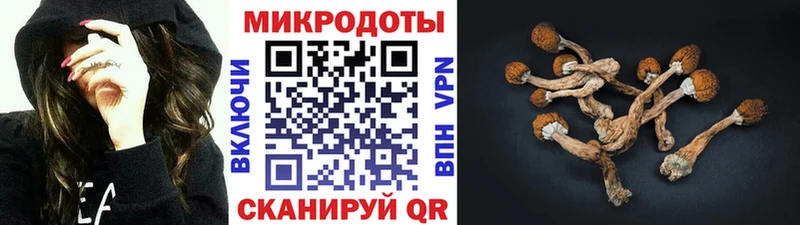 Галлюциногенные грибы MAGIC MUSHROOMS  Верея 